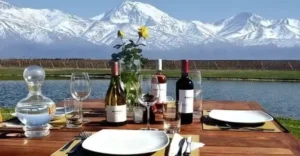 almuerzo-wine-mendozamesa-lago