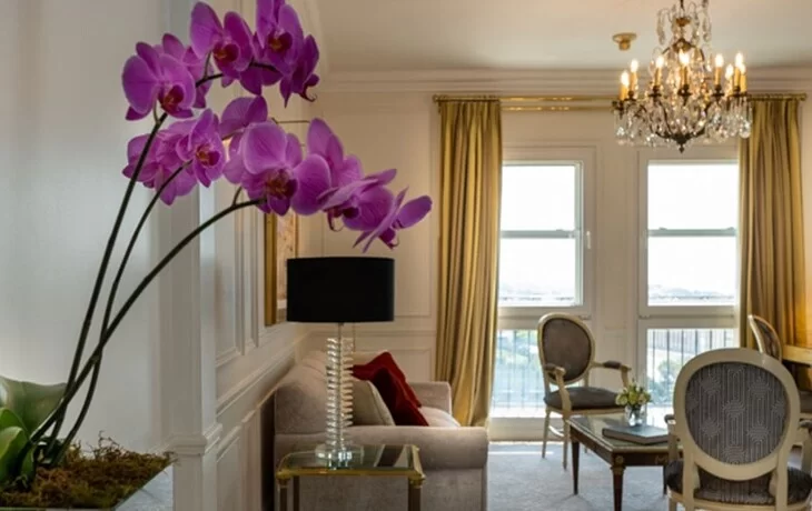 Alvear Palace Hotel Buenos Aires