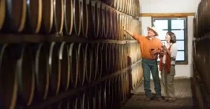 cafayate-salta-argentina