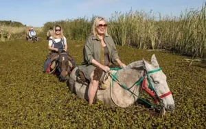ibera-wetlands-horse-ride.jpg