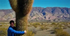los-cardones-national-park
