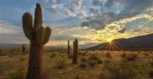 los-cardones-national-park