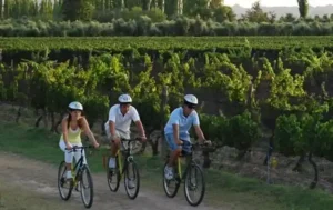 mendoza-bike-ride.jpg