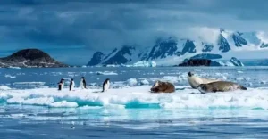 polar-circle-cruise (3)