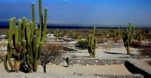 ruinas-de-quilmes-tucuman-argentina