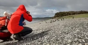 ushuaia-patagonia-argenina