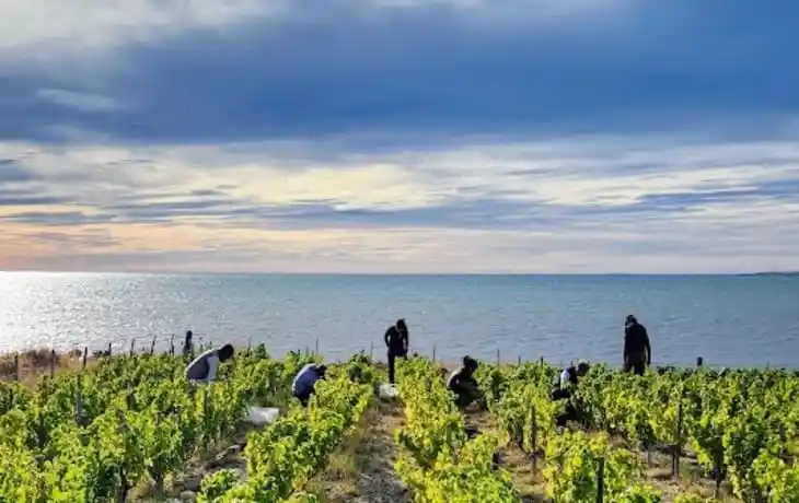 Bahia-Bustamante-Lodge-