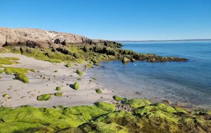 Bahia-Bustamante-Lodge-