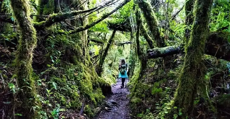 diego de almagro coyhaique