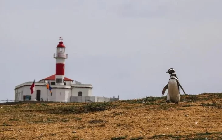 hotel diego de almagro punta arenas