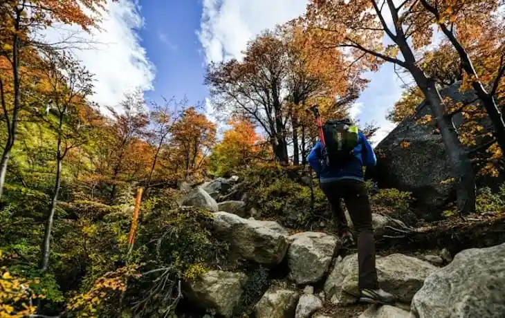 Eco Camp Torres del Paine