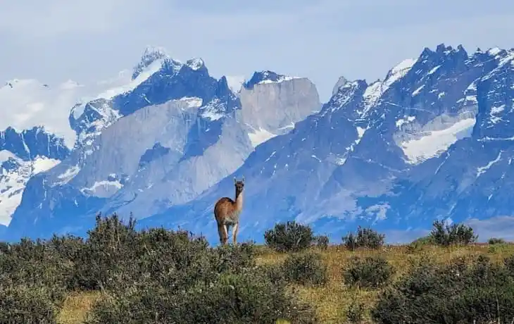 Eco Camp Torres del Paine