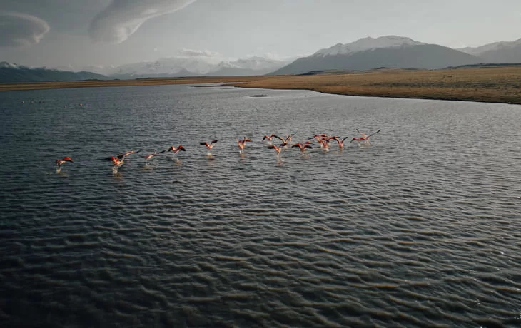 Eolo El Calafate Flamingos Lagoon