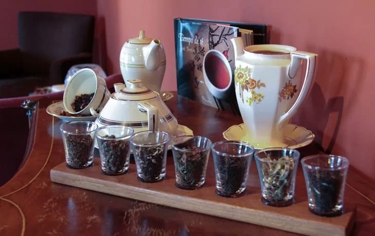 Eolo-Patagonias-Spirit