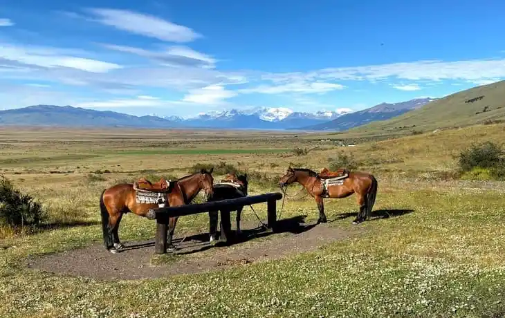 Eolo Horse Back Ride El Calafate