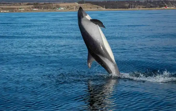 cabo de hornos hotel