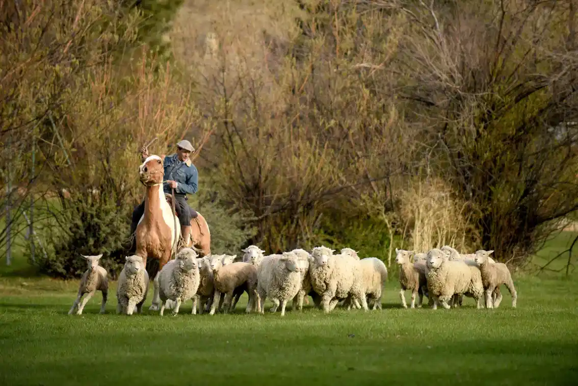 Kau Yatun Hotel El Calafate