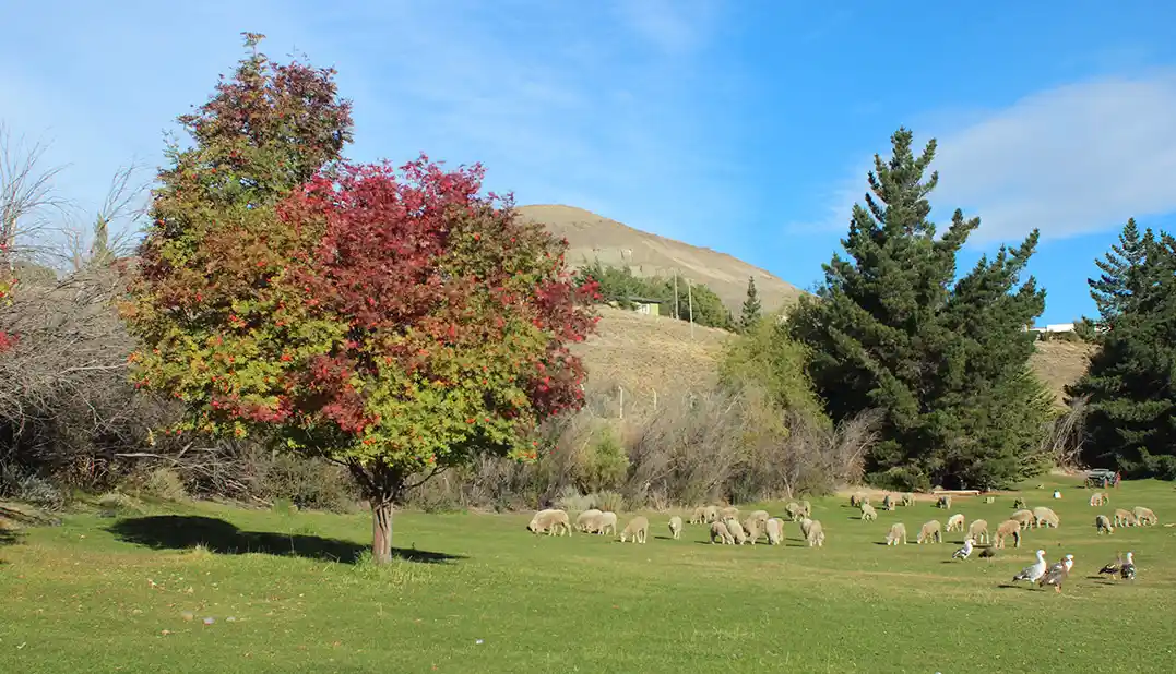 Kau Yatun Hotel El Calafate
