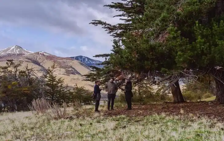Pristine-Domes-El-Calafate