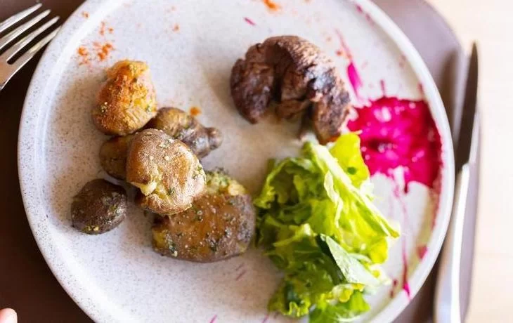 Pristine-Domes-El-Calafate