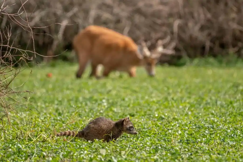Rincón-del-Socorro-