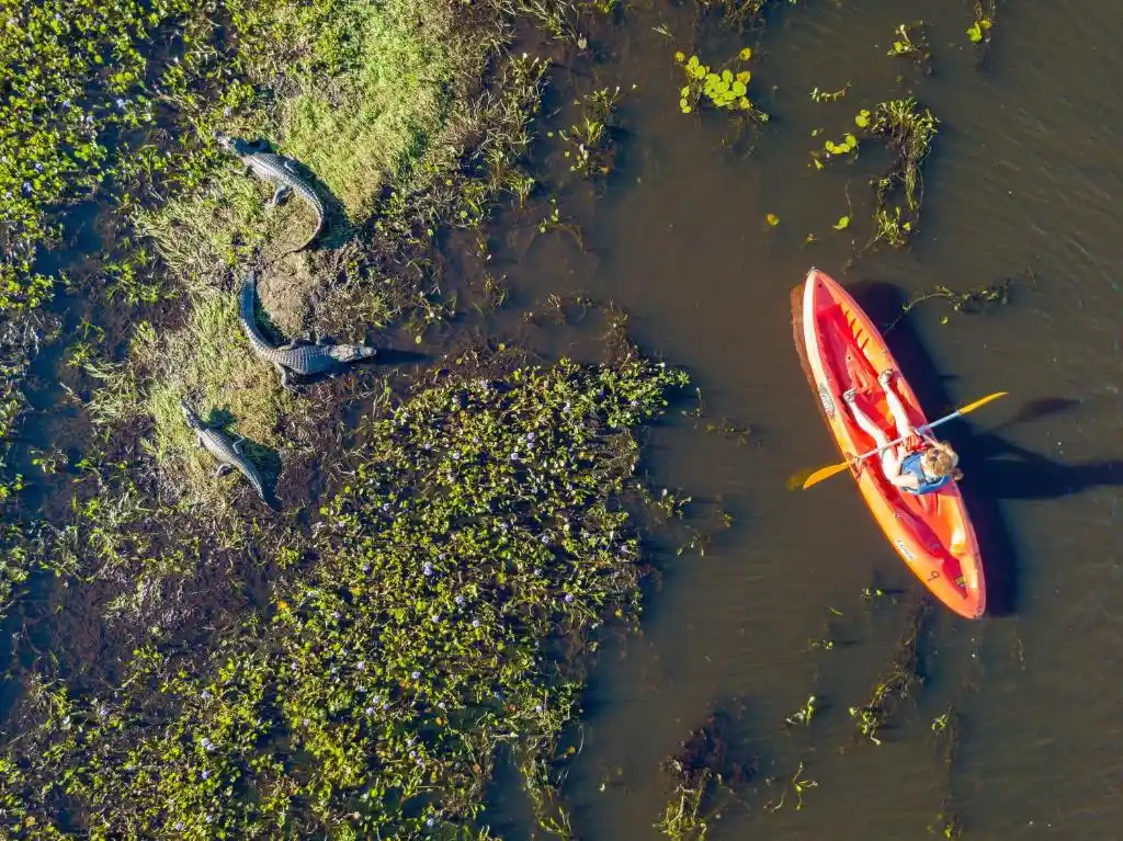Rincón-del-Socorro-