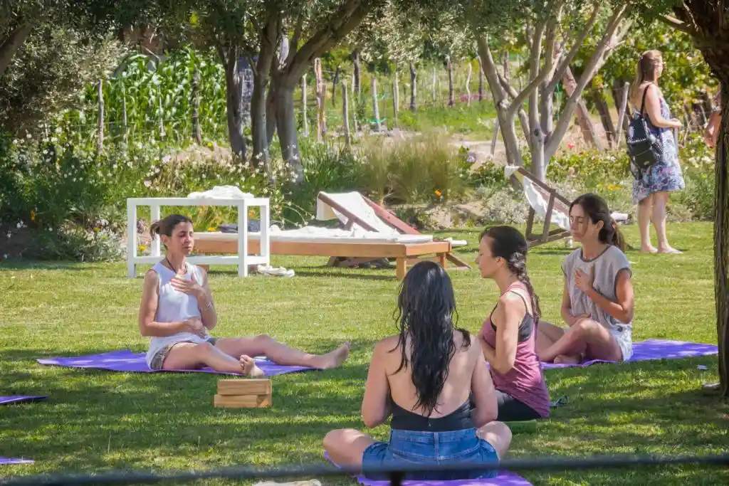 Viñas de Cafayate Wine Resort