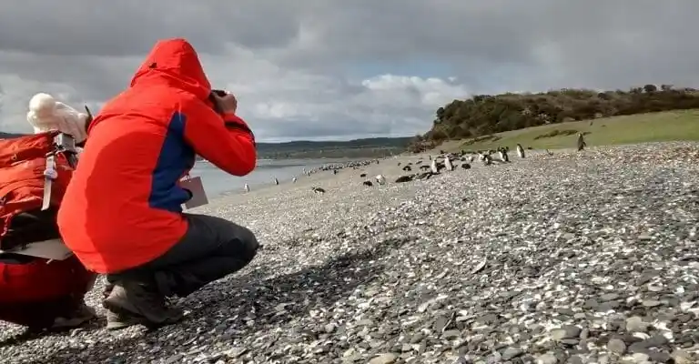 albatros-hotel-ushuaia
