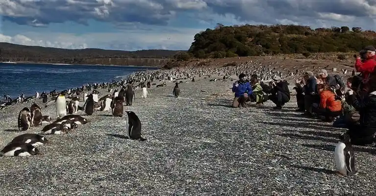 albatros-hotel-ushuaia