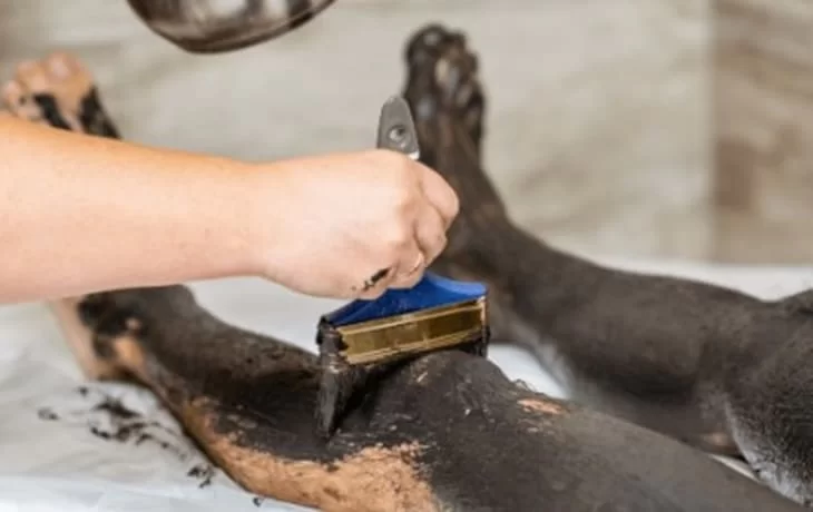 alma-del-lago-hotel-