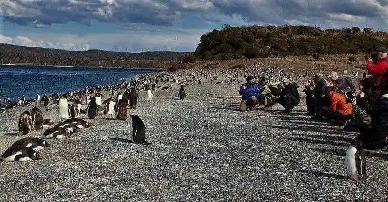 alto-andino-hotel-ushuaia-