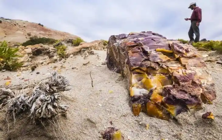 Bahia-Bustamante-Lodge-