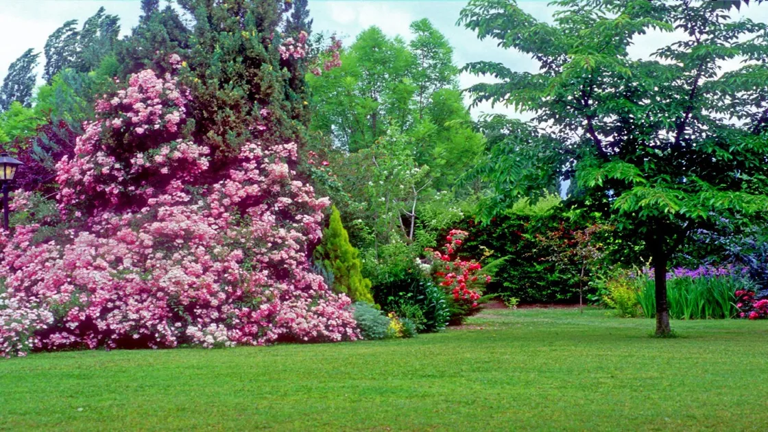 Casa-Glebinias-mendoza