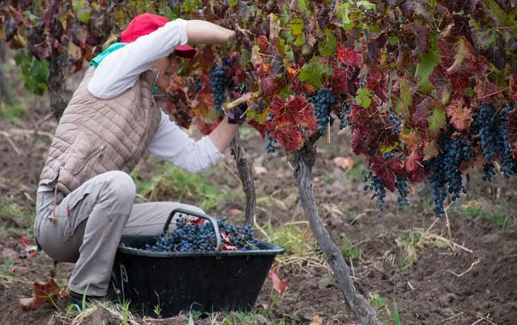 casa-glebinias-mendoza