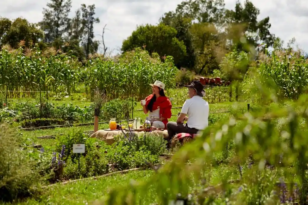 hose-of-jazmines-hotel