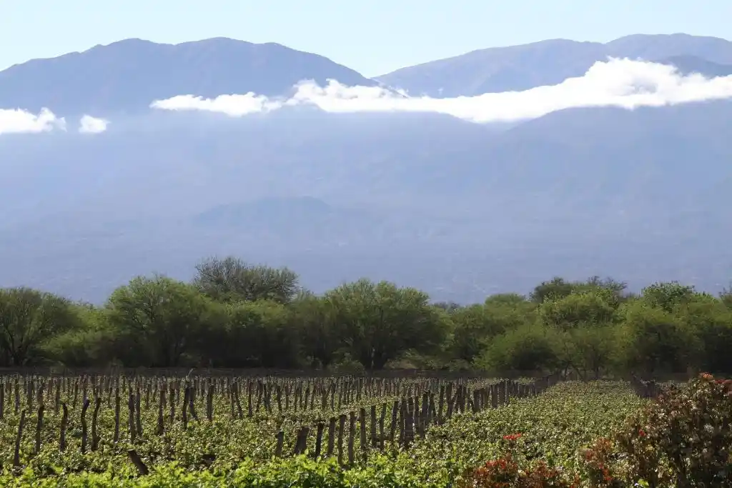 patios-de-cafayate-hotel-