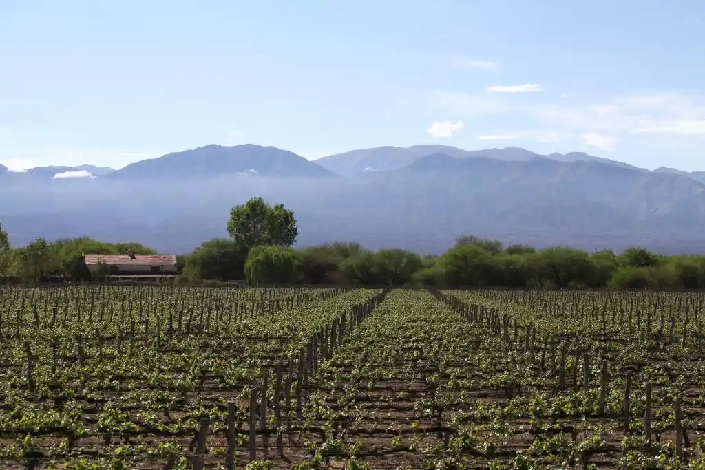 patios-de-cafayate-hotel-