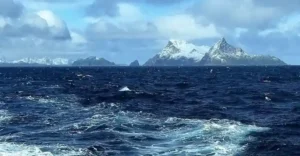 south-georgia-island (2)