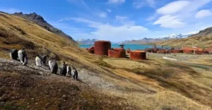 south-georgia-island