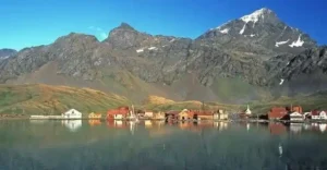 south-georgia-island1