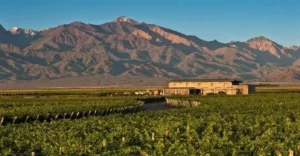 uco-valley-mendoza-argentina-day-4