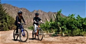 vineyards-by-bike-day-2