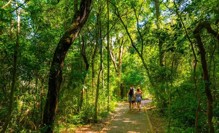 parque-nacional-iguazu-sendero-verde
