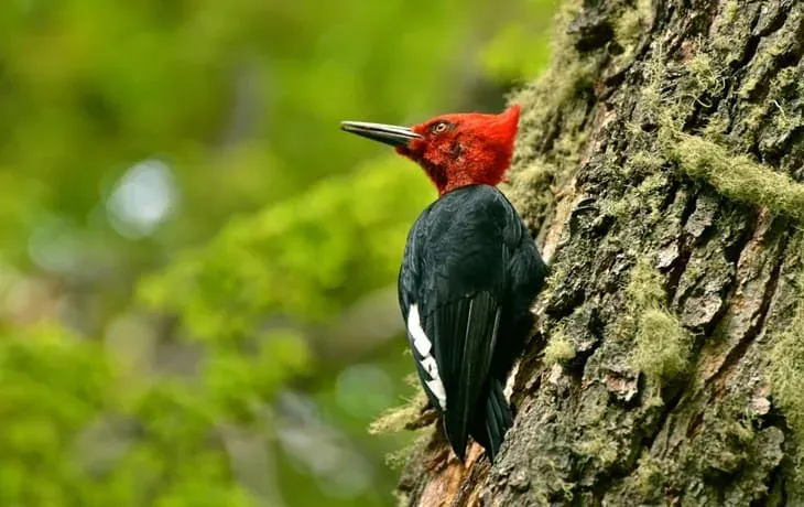 tierra-del-fuego-national-park 